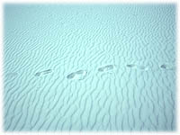 White Sands 1